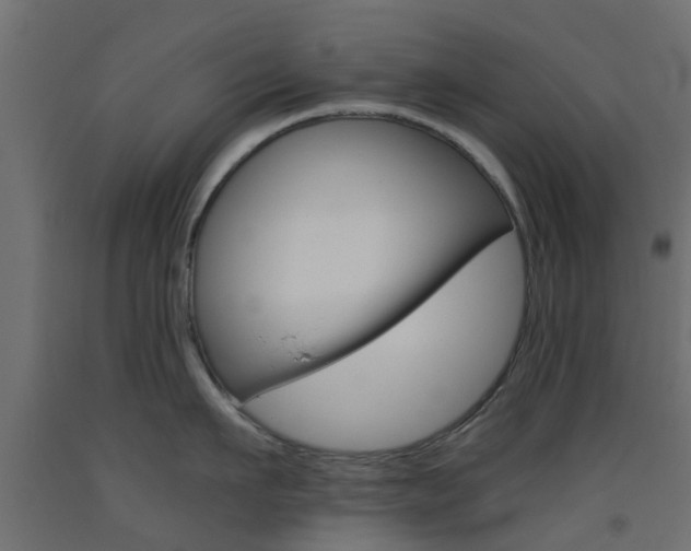 X0000093450911200710121003