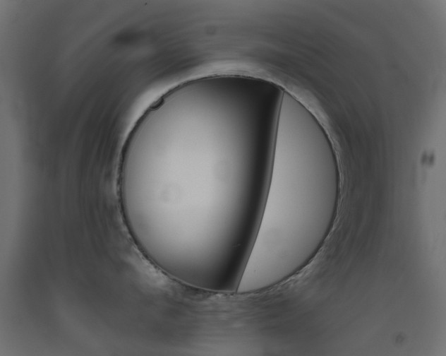 X0000093450912200710121003
