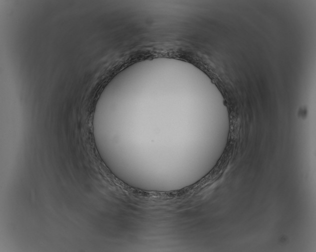 X0000093450913200710121002