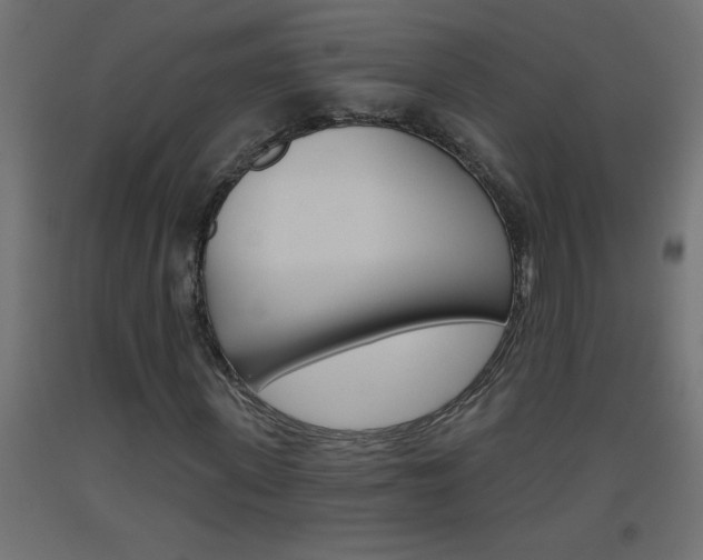 X0000093450915200710121002