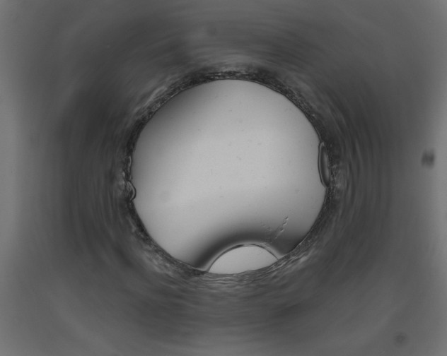 X0000093450916200710121002