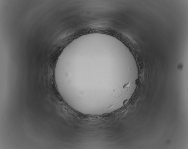X0000093450917200710121002
