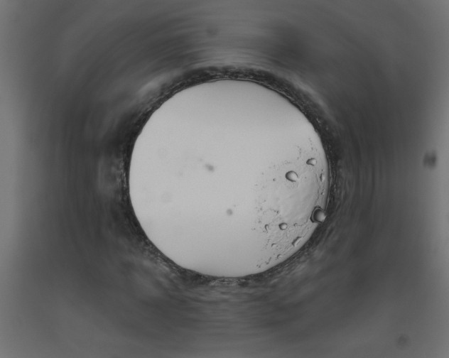 X0000093450918200710121002