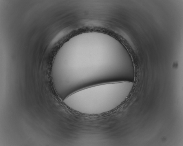 X0000093450919200710121002
