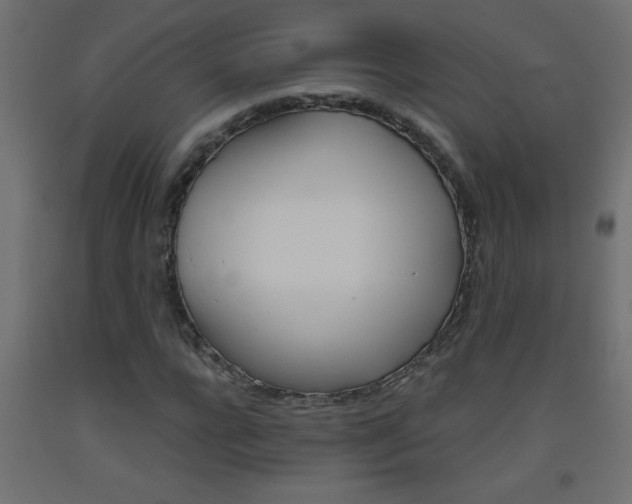 X0000093450920200710121002