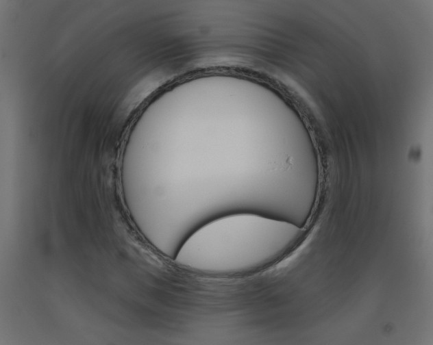X0000093450921200710121002