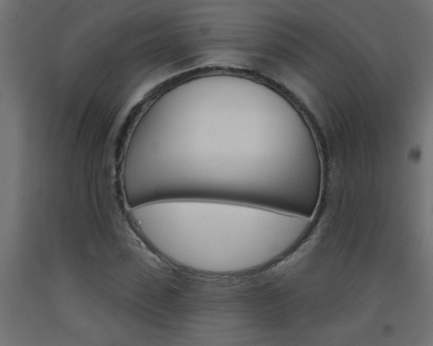 X0000093450923200710121002