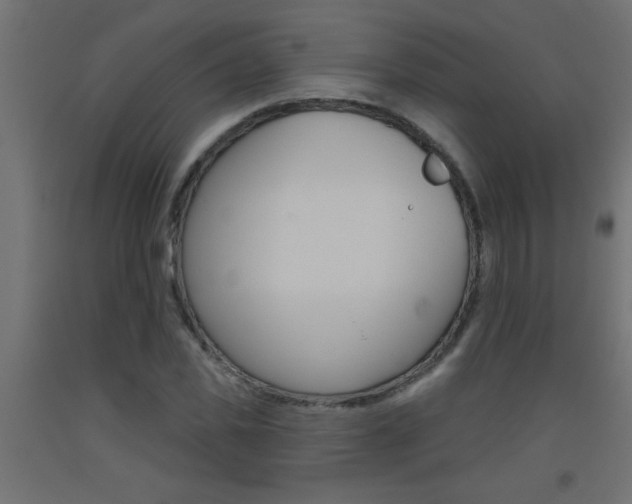 X0000093450925200710121003