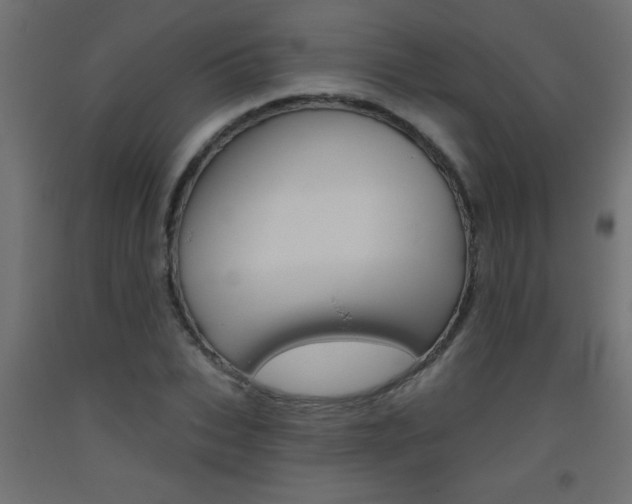 X0000093450927200710121003