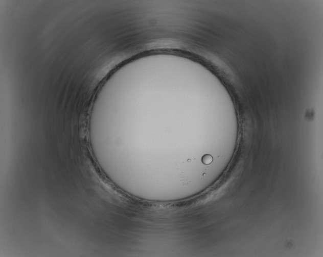 X0000093450929200710121003