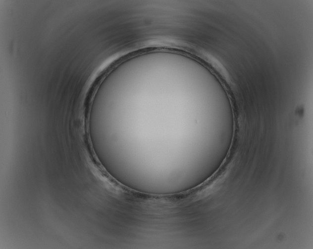 X0000093450931200710121003