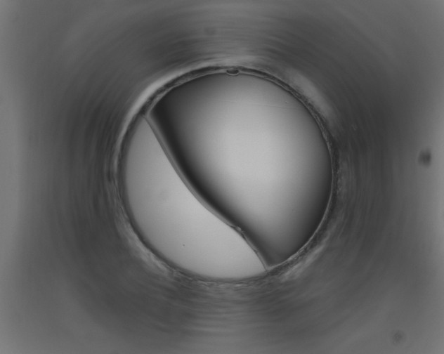 X0000093450932200710121003