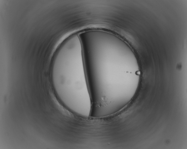 X0000093450934200710121003