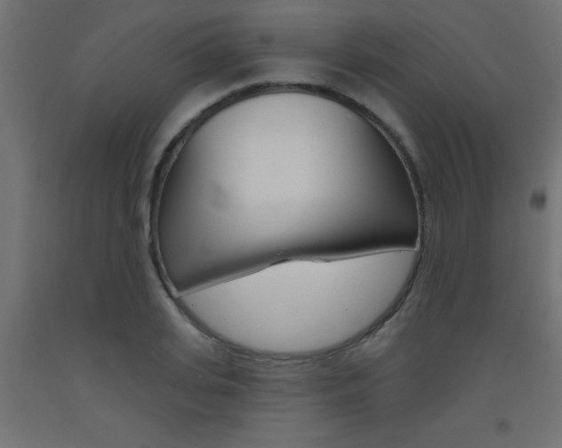 X0000093450935200710121003
