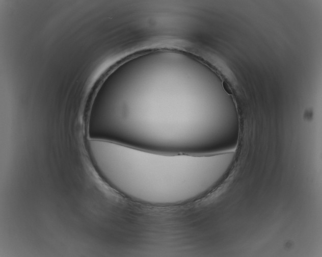 X0000093450936200710121003