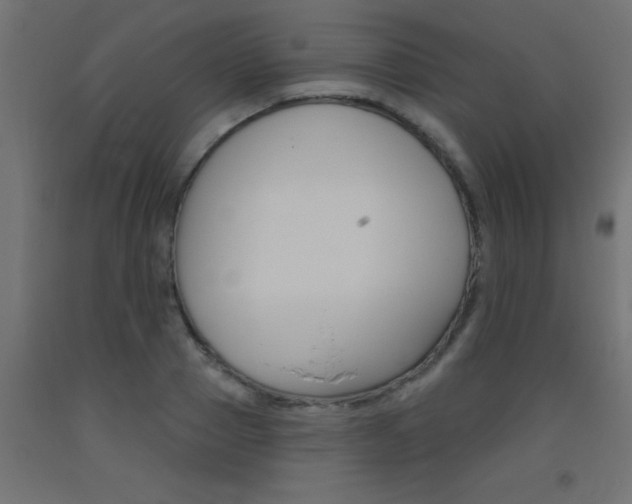 X0000093450937200710121003