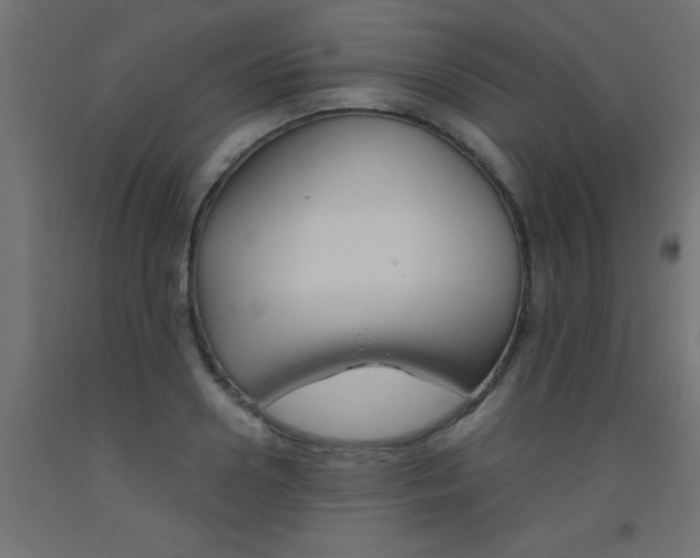 X0000093450938200710121003