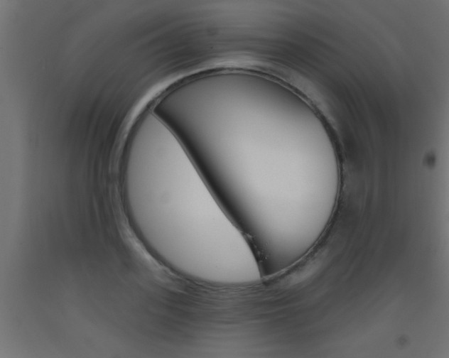 X0000093450939200710121003