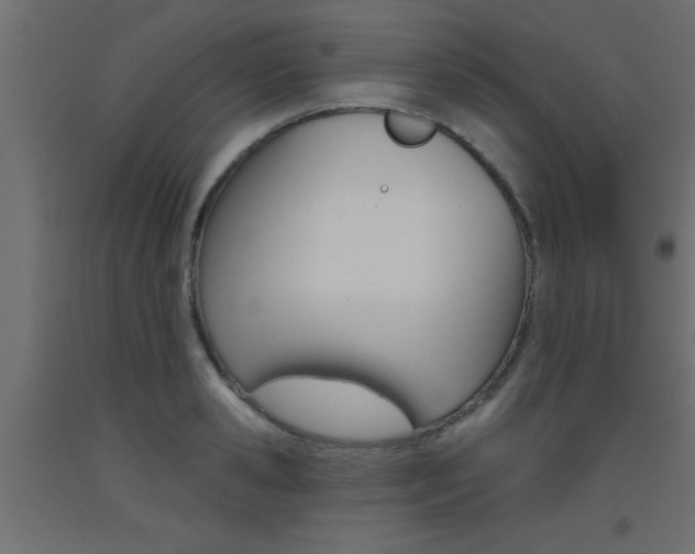 X0000093450941200710121003