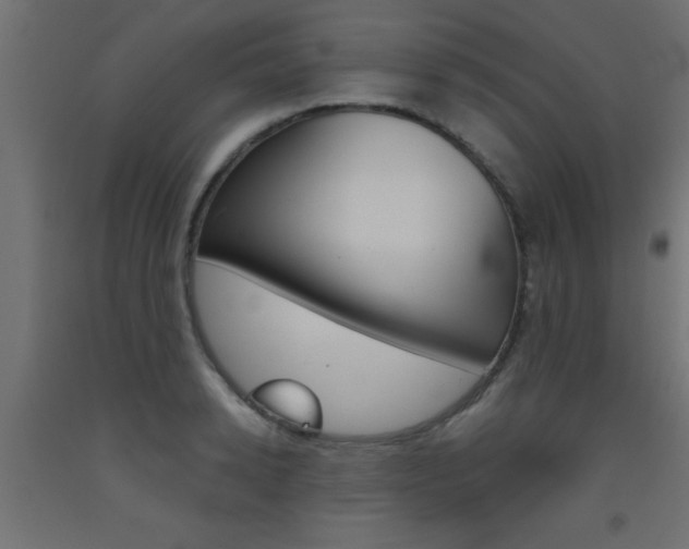 X0000093450942200710121003