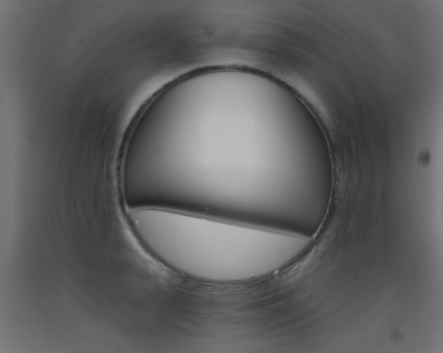X0000093450943200710121003