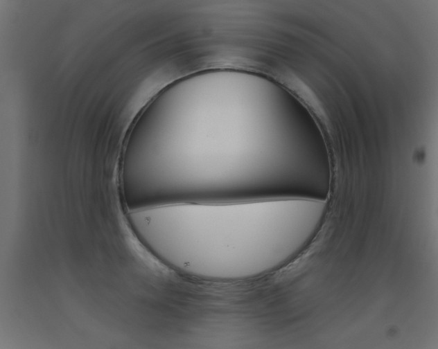 X0000093450946200710121003