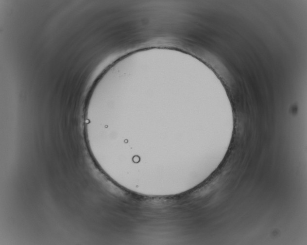 X0000093450950200710121003