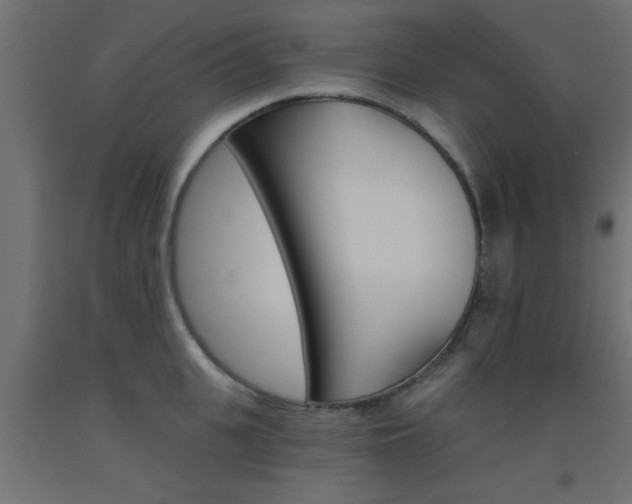 X0000093450951200710121003
