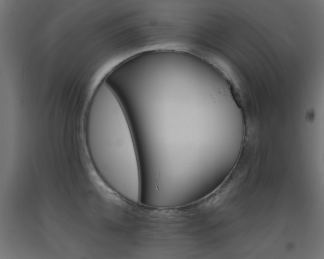 X0000093450952200710121003