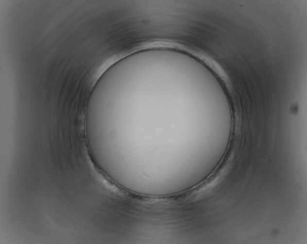 X0000093450953200710121003
