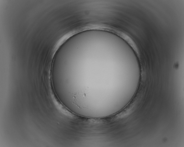 X0000093450954200710121003