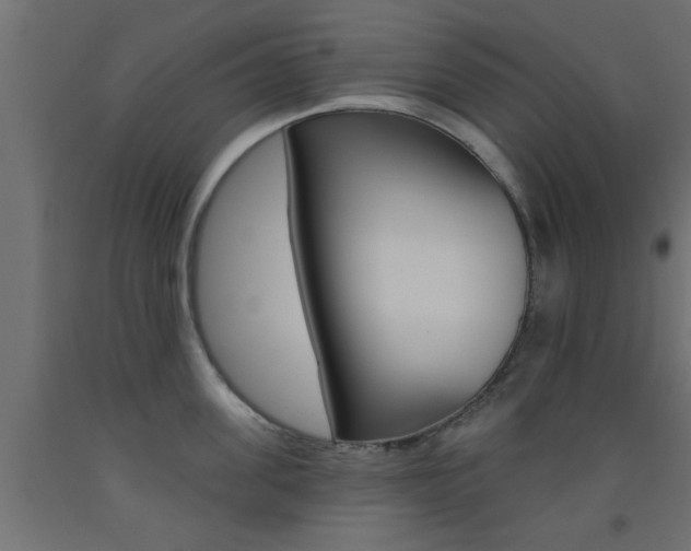 X0000093450955200710121003