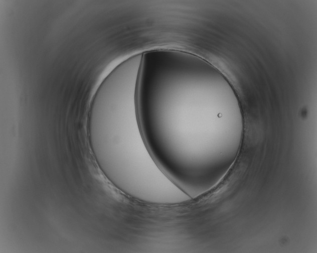 X0000093450956200710121003