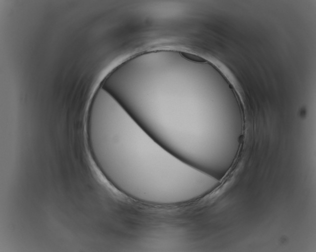 X0000093450957200710121003