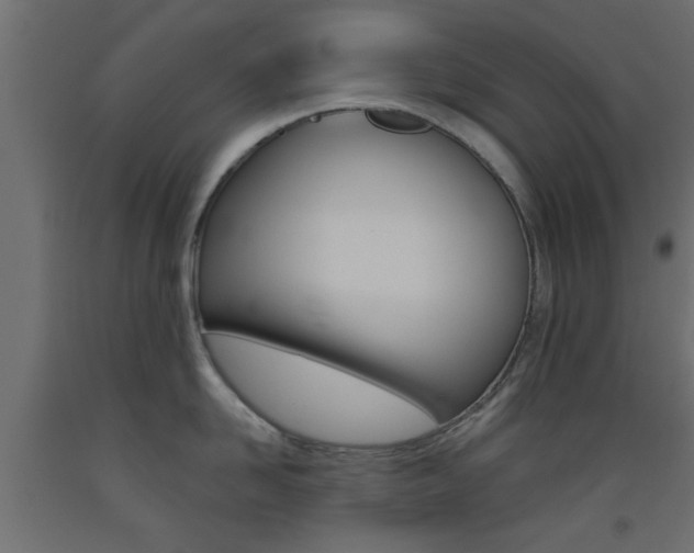 X0000093450958200710121003