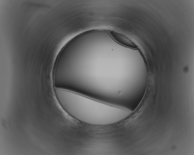 X0000093450959200710121003