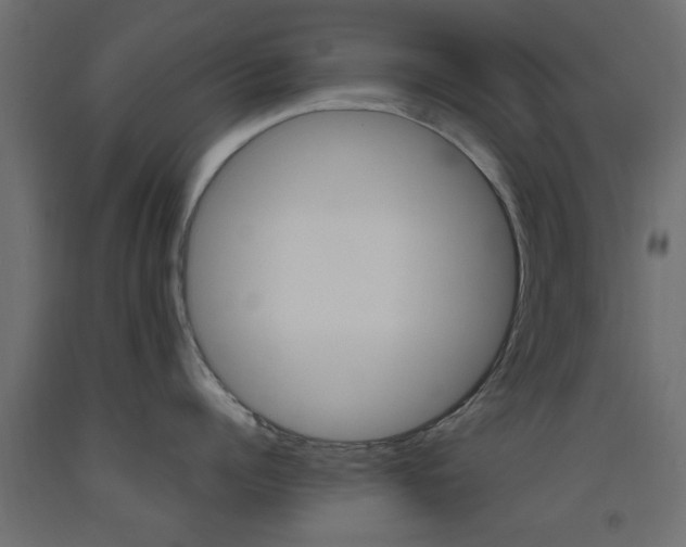 X0000093450960200710121003