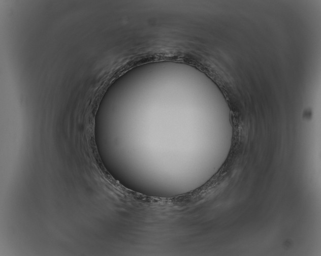 X0000093450961200710121002