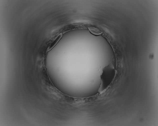 X0000093450965200710121002