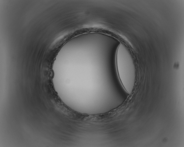 X0000093450967200710121002