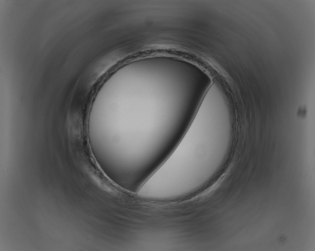 X0000093450969200710121002