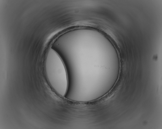 X0000093450971200710121002