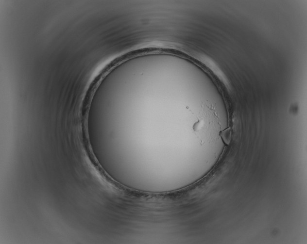 X0000093450972200710121002