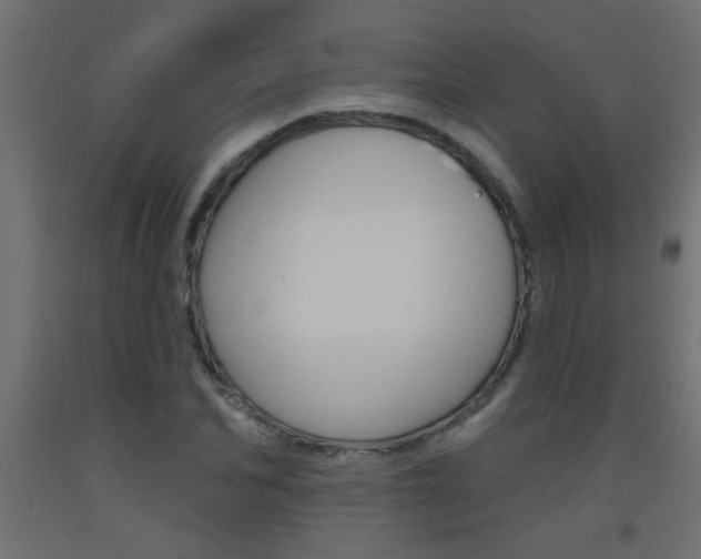 X0000093450974200710121002