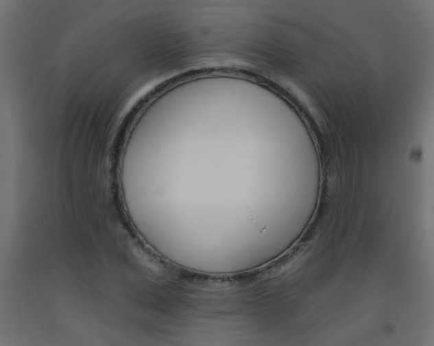 X0000093450975200710121002