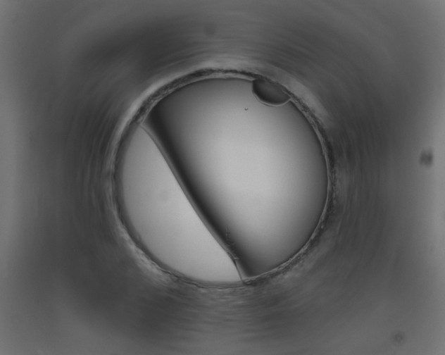 X0000093450976200710121002