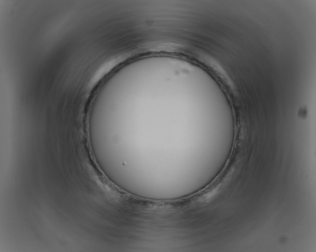 X0000093450978200710121002