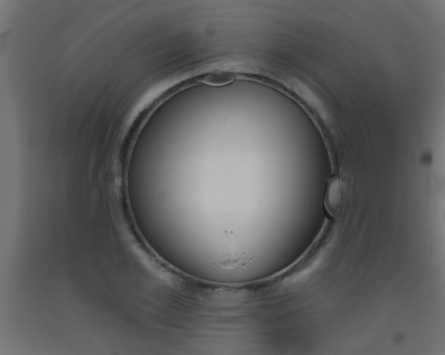 X0000093450981200710121002