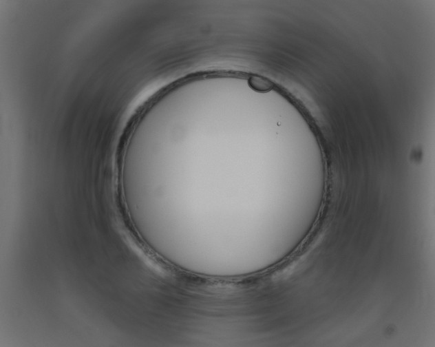 X0000093450982200710121002