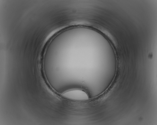 X0000093450983200710121002